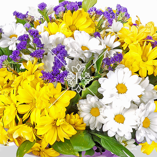 Искренность